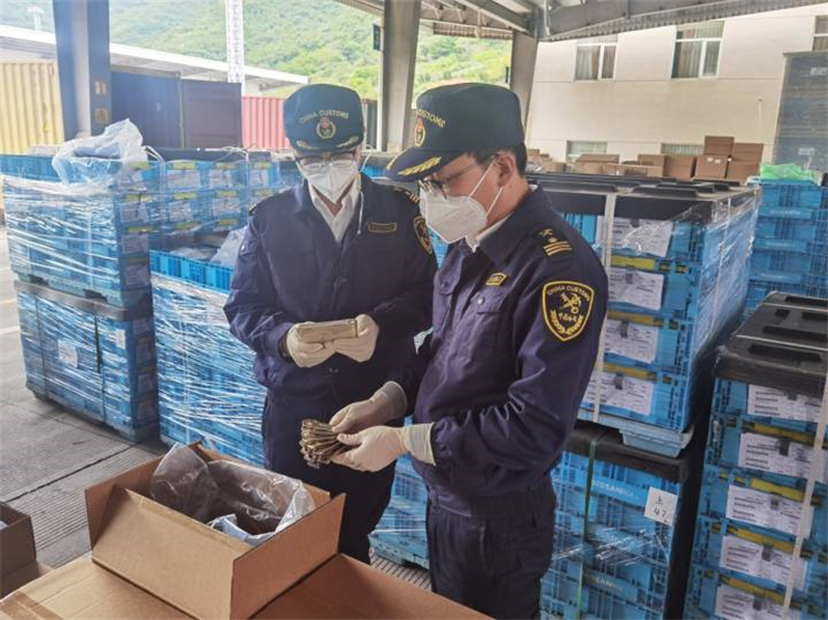 İstikrar sağlamak ve kaliteyi artırmak için dış ticareti teşvik edin Ningbo Gümrükleri 20 