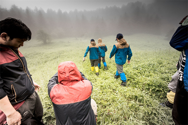 SURVIVA Wilderness Survival nedir?